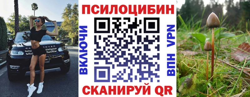 Псилоцибиновые грибы Cubensis  Жиздра 